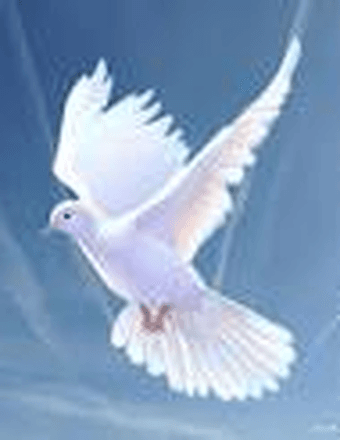 Ramonita Delgado Obituary