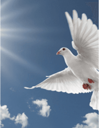Jean R. (Rissberger) Slaymaker Obituary